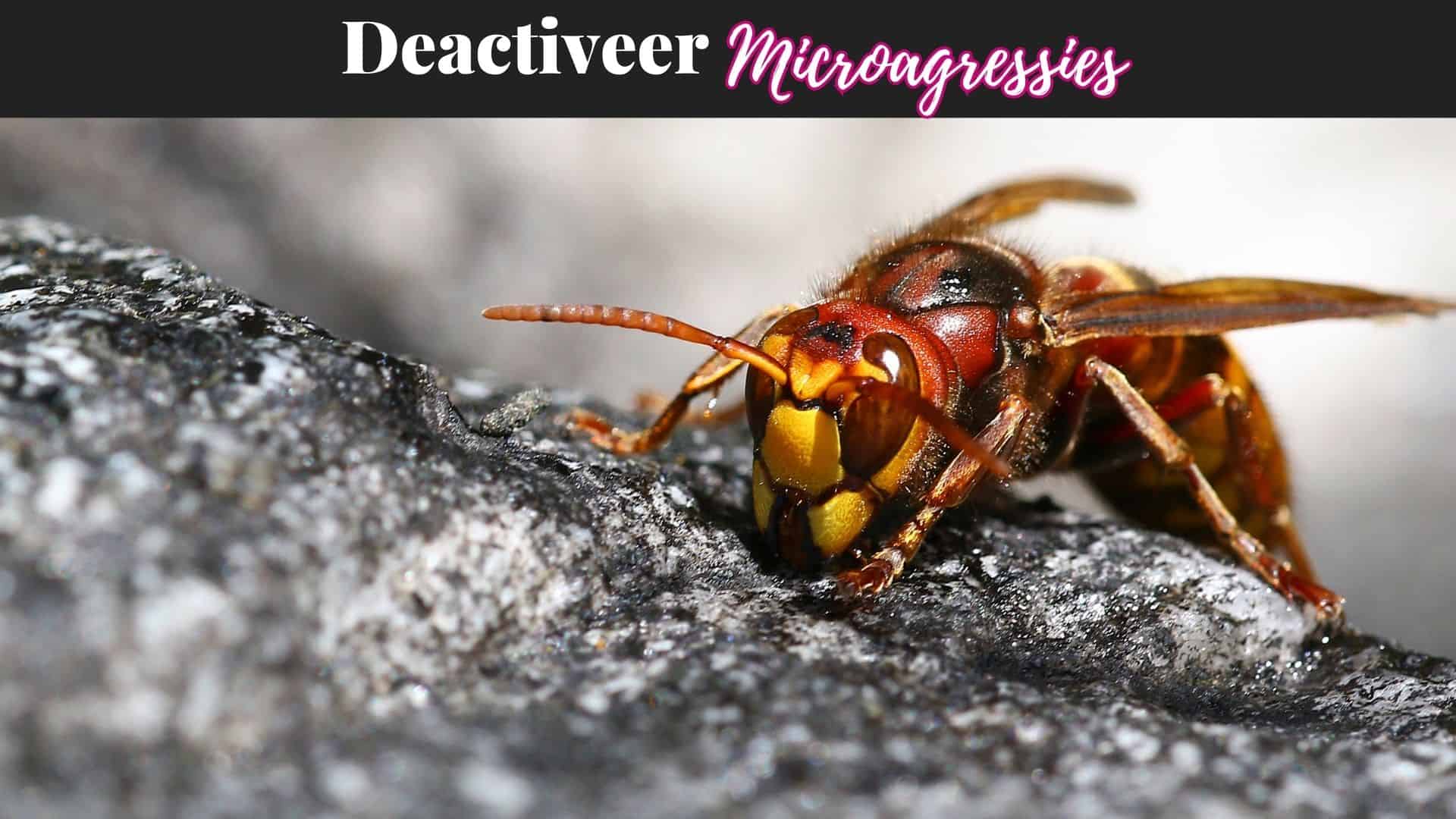 Deactiveren van Microagressies training visual